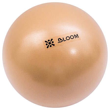 Bloom LB7000T 30 Cm Mini Pilates Topu