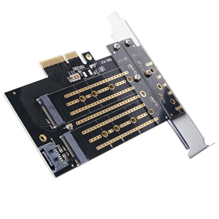 ORICO PCI-E 3.0 x4 M.2 NVME ve NGFF  SSD Çift Slot Dönüştürücü Adaptör Kartı