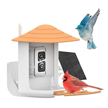 Avenir V5-DZWNQ Solar Panelli Kameralı Kuş Mama Yem Kabı