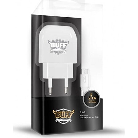 Buff Dual USB Charger Type-C Şarj Seti BF-16