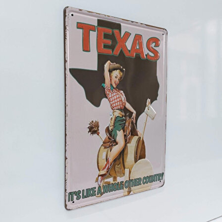 Texas Temalı Retro 20x30 Cm Metal Plaka Duvar Dekor