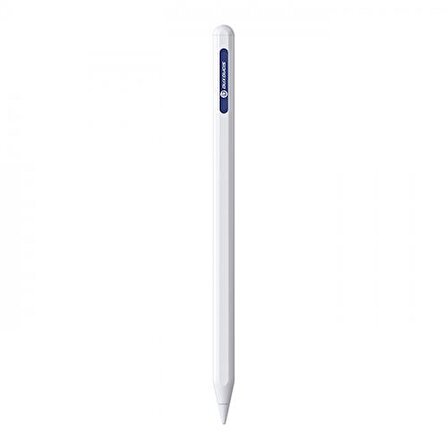 Polham Uzun Şarjlı Apple İpad Serisi İçin Stylus Kalem, Eğim ve Avuç İçi Red Fonksiyonlu Tablet Kalemi