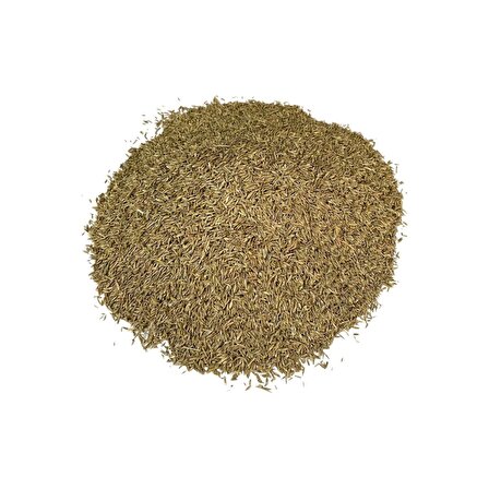 Grass Mixture 6 Karışımlı Çim Tohumu 10 Kg