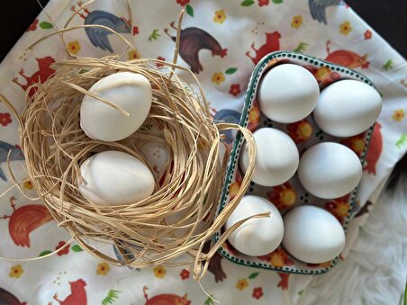 Paskalya Yumurtası, Renkli Yumurta, Easter, Egg, Colorful Egg, Paskalya