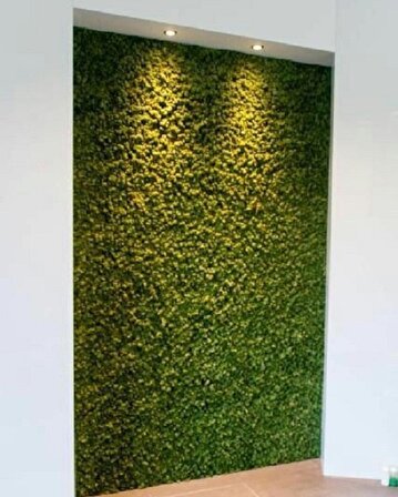 Dekoratif Yapay Bitki Duvar Kaplama Panel Şimşir Tabaka 40x60 Cm Yeşil Dikey Bahçe