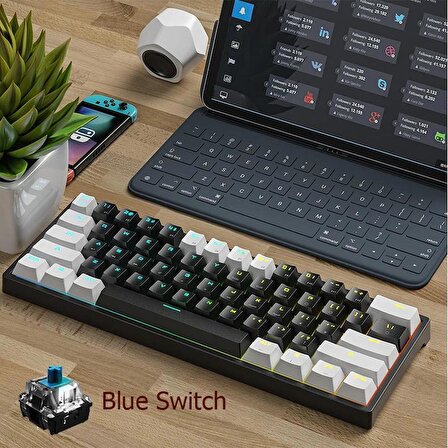 Valkyrie Leaven K620 Blue Switch Mekanik Gaming Oyun Klavyesi RGB 61 Key Mavi Tuş Type-C Klavye Beyaz-Siyah