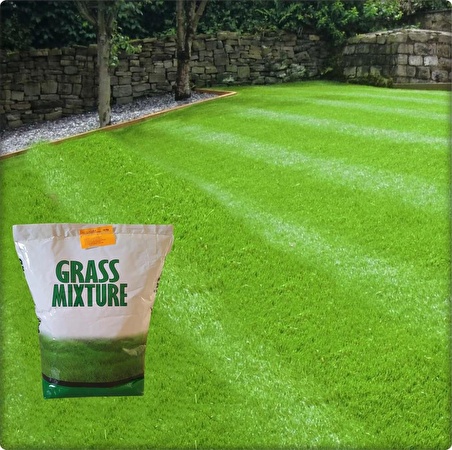 GrassMixture 6 Farklı Çim Tohumu Karışımı (1 kg)