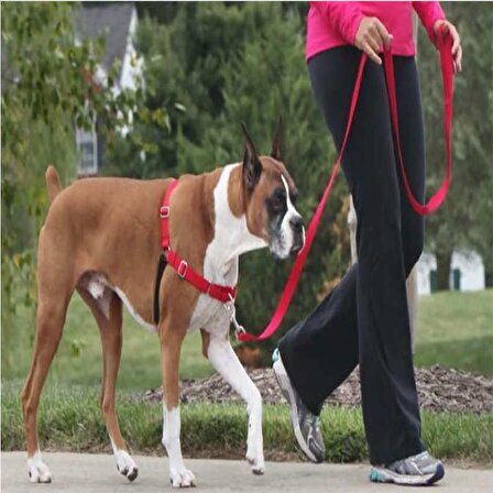 PETSAFE Easy Walk™ Harness Kırmızı Köpek Göğüs Tasması Extra Large ( 86 - 117 cm )