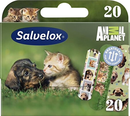 Salvelox Animal Planet 20li Hayvan Figürlü Yara Bandı