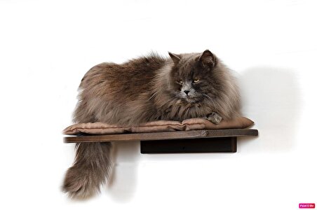Kedi Rafları | Kedi Yatağı | Kedi Besleme Rafı |El Yapımı Ahşap Kedi Hamağı | Kedi Duvar Köprüsü