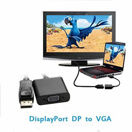 Ancheyn Displayport to VGA Çevirici Dönüştürücü Adaptör 4557