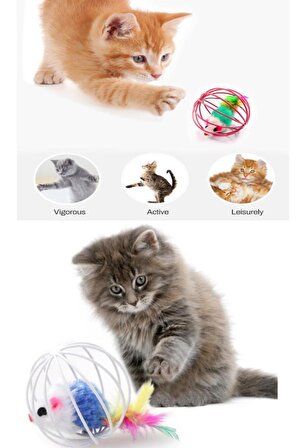 Renkli Metal Kafesli Fareli Kedi Oyuncağı Oyun Topu Kedi Oyun