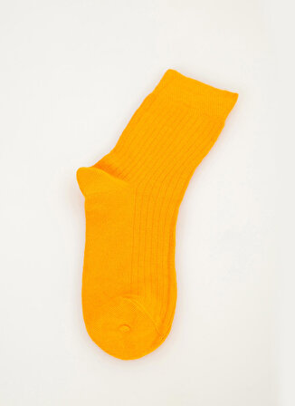 Cozzy Socks Çok Renkli Kadın Çorap COZZY-4354