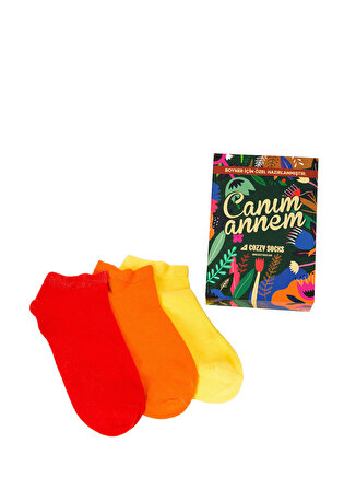 Cozzy Socks Çok Renkli Kadın Çorap COZZY-4361