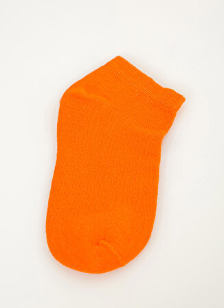 Cozzy Socks Çok Renkli Kadın Çorap COZZY-4361