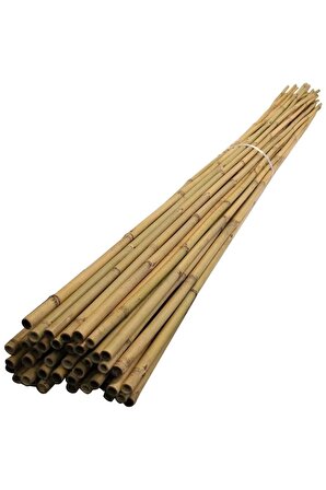 200 cm Dekoratif Bambu Çubuk 10 Adet