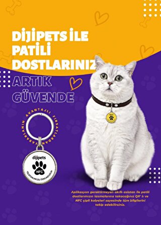 MVG Store Dijipets Siyah Pati Dostu Akıllı Tasma Dijital Künye Ve Konum Bilgisi (Kayıp İlanı Vermeye Son)