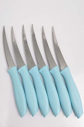 6'lı Paslanmaz Çelik Meyve Sebze Bıçağı Mavi