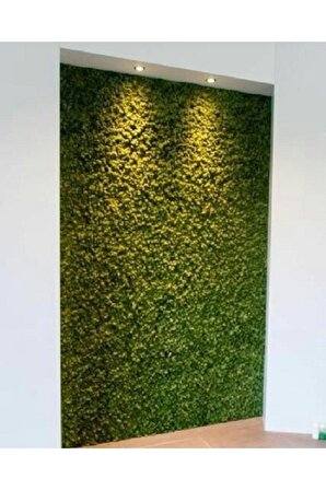 Dekoratif Yapay Bitki Duvar Kaplama Panel Şimşir Tabaka 40x60 cm Yeşil Dikey Bahçe
