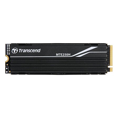 Transcend TS1TMTE250H 1TB M.2 2280 Gen4x4 NVMe Metal Soğutuculu SSD
