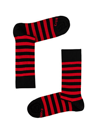 Cozzy Socks Şerit Desenli 4 Renk Kutulu Erkek Çorap CZY1011