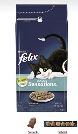 Felix Somonlu ve Sebzeli Kuru Kedi Maması 2 kg