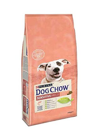 Dog Chow Sensitive Somonlu ve Pirinçli 14 kg Yetişkin Köpek Maması