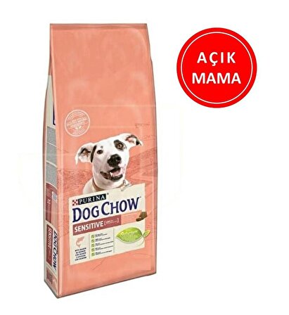 Purina Dog Chow Somonlu Hassas Köpek Maması 1 KG AÇIK
