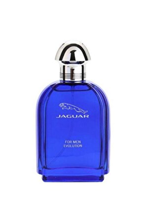 Jaguar Evolution EDT Çiçeksi Erkek Parfüm 100 ml  