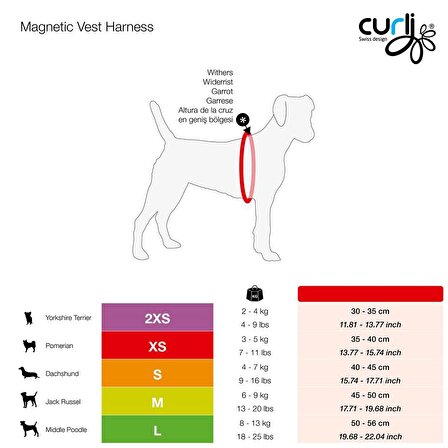 Curli Magnetic Vest Köpek Göğüs Tasması Air-Mesh S