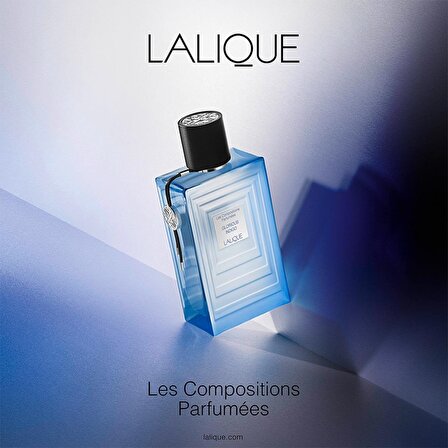Lalique Les Compositions Glorious Indigo EDP Çiçeksi Erkek Parfüm 100 ml  