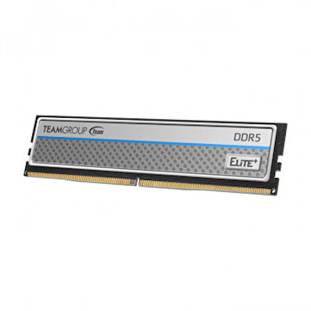 Team Elite Plus Silver 16 GB (1x16GB) 5600 Mhz DDR5 CL46 Gaming Ram (TPSD516G5600HC4601)