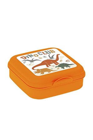 Dino Club Desen Sandviç Box