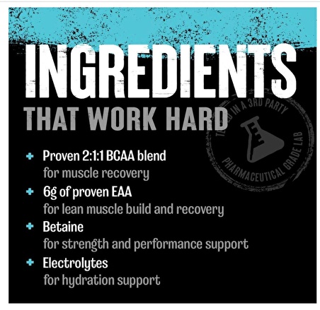 Animal Juiced Amino Acids - BCAA/EAA 378 gr