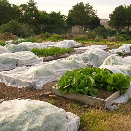 2x50 METRE 17gr AGRİL ISI DON PERDESİ, ZİRAİ DON KIRAĞI ÖRTÜ KARPUZ ÇİLEK ÖRTÜSÜ, SERA TOPRAK ÖRTÜSÜ