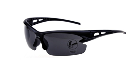 Gözlük UV 400 Siyah Çerçeve Füme Cam