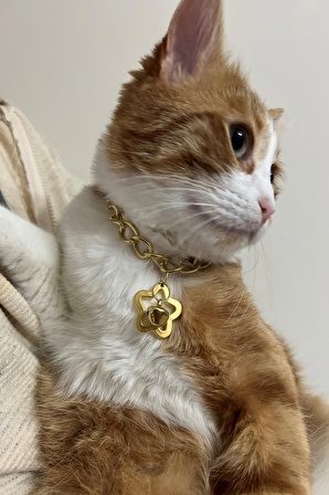 Star Zil Boncuklu Gold Metal Zincir Kedi Kolyesi