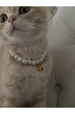 Miyaw İnci Boncuklu Zilli Kedi Tasması - Cat Collar