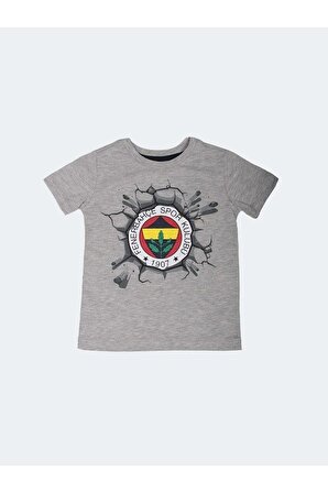Fenerbahçe Orijinal Logolu Çocuk Tshirt