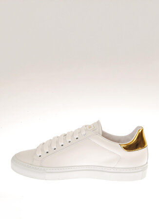 Roberto Cavalli Beyaz - Altın Kadın Deri Sneaker 20607C