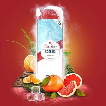 Old Spice Cooling Erkekler İçin Duş Jeli ve Şampuan 400 ml