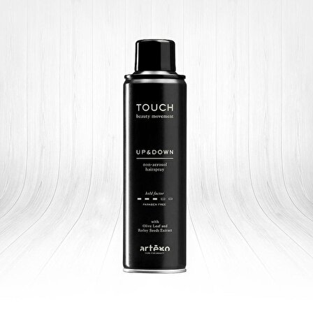 Artego Touch Up And Down Non Aerosol Hairspray 400ml