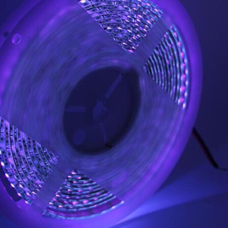 UV Şerit LED 3528 SMD 120/m İç Mekan 1mt 12V