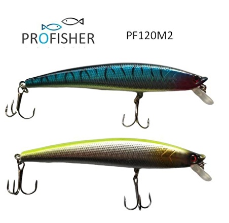 PROFISHER 2 Renk Set 2 Kanca Sahte Balık Yem 10 gr 11,5 cm Arrow