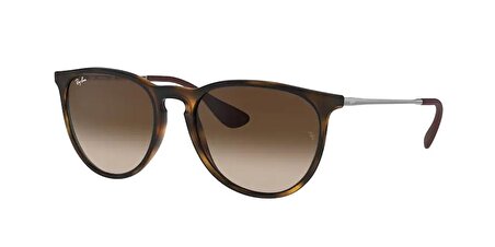 Ray-Ban RB4171 865/13 54 Unisex Güneş Gözlüğü