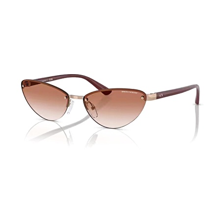 Armani Exchange AEX 2049S 610313 58 Kadın Cat Eye Rose Gold Metal Güneş Gözlüğü