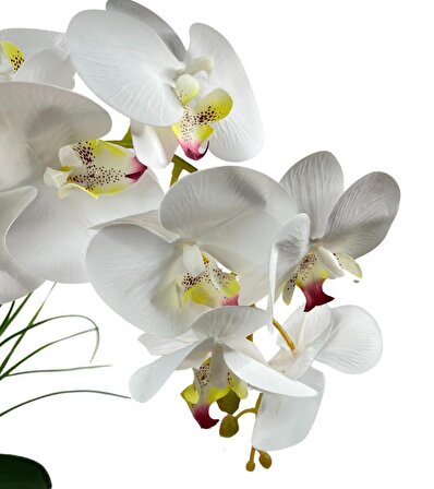 Yapay Çiçek 2li Beyaz Islak Orkide Seramik Saksıda Orkide 60cm