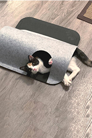 Lizzo Kedi Tüneli Evcil Hayvan Oyuncağı Yavru Yetişkin Kedi Yuvası Yatağı Tünel Evi
