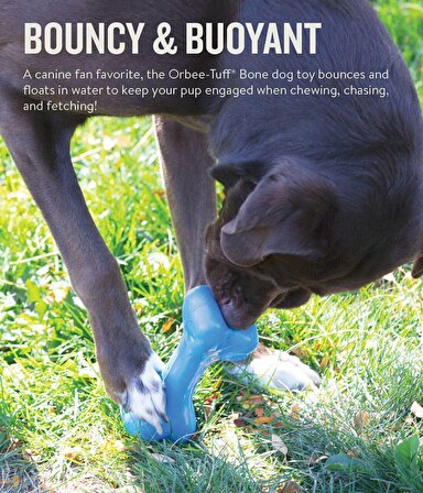 Outwardhound Orbee Bone BLUE Medium Köpek Kemirme Oyuncağı