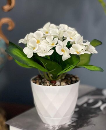 Yapay Çiçek Beyaz Saksıda Kadife Menekşe Gerçekçi Doku Çakıl Taşlı BEYAZ